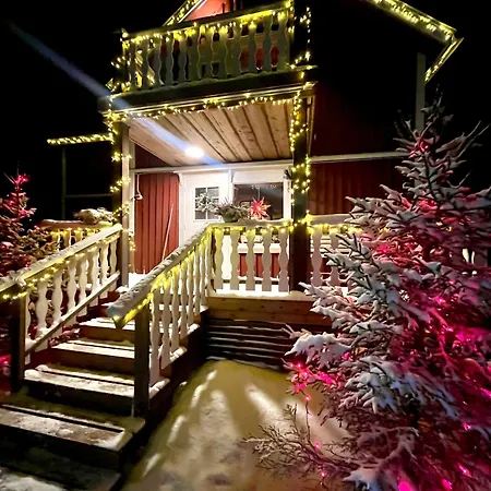 Art House Of Lady Christmas